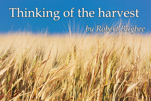 thinking-of-the-harvest