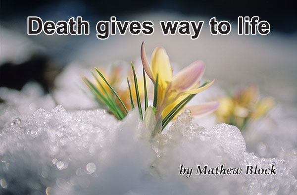 death-gives-way-to-life